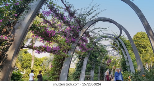 Brisbane, Australia - Nov 2019: A view of the award-winning South Bank Grand Arbour. It is a kilometre long arbour, curled spires draped in ever blooming bougainvillea, leads throught the parklands.