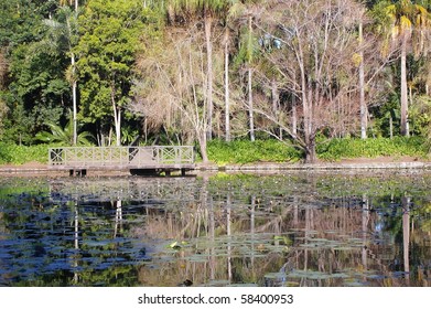 Brisbane Botanic Gardens Pond Background Landmark