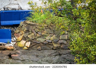 Brisbane, Queensland, Australia - August 2022: A Rock Wall Covered In Algae Beside The Brisbane River.