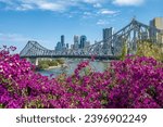 Brisbane skyline behind Story Bridge and pink bougainvillea flowers.