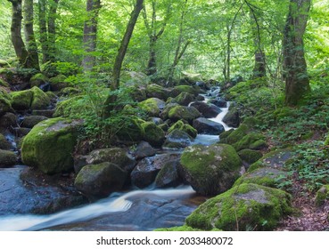 The Brisecou Or Briscou Waterfall Near Autun In Saône Et Loire In Burgundy Is A Magnificent Place In The Forest