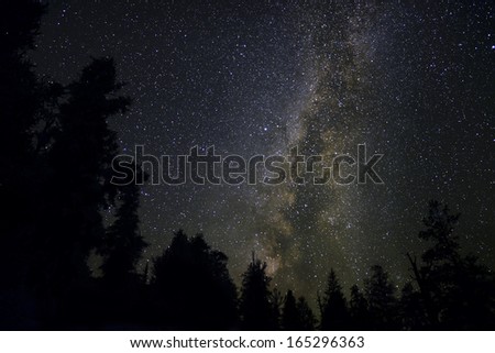 Bristlecone Pine Forest 02 Milky Way Galaxy California USA