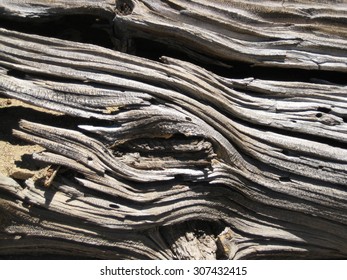 Bristlecone Pine Wood