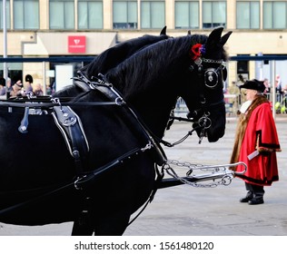 Bristol, England, United Kingdom.  November 10 2019.  The Horses Of The Lord Mayor Of Bristol’s Carriage On Remembrance Day Parade 2019