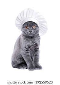 British Cat Wearing Chef Hat