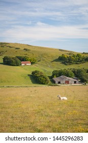 British Countryside Farm In East Sussex