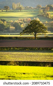 British countryside fields in intense sunset light at autumn in Shropshire, UK