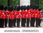 British guardsmen on parade London England