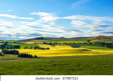 British Landscape In Summer