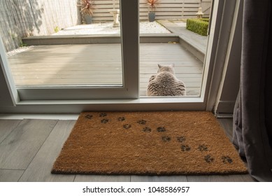 A British Short Hair Cat Sitting On The Decking Area Of A Garden In Edinburgh, Scotland, UK, Where A Door Mat With Cat Paw Prints Can Be Seen On The Foreground Beside A Patio Door.