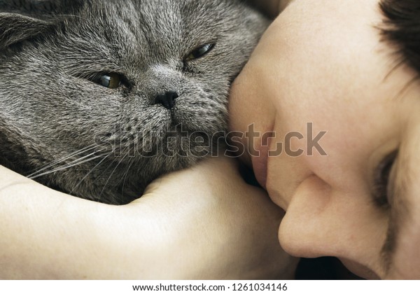 British Short Hair Male Cat Arms Stock Photo Edit Now 1261034146