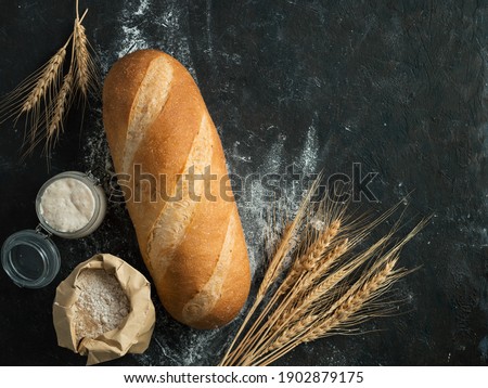 British White Bloomer or European sourdough Baton loaf bread on black background. Fresh loaf bread and glass jar with sourdough starter, floer in paper bag and ears. Top view. Copy space