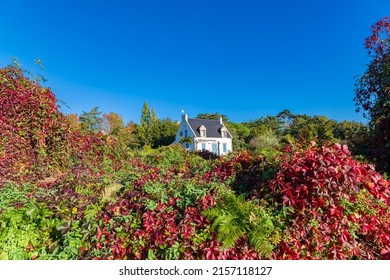 Brittany, Ile aux Moines island in the Morbihan gulf, typical house with a beautiful garden in autumn