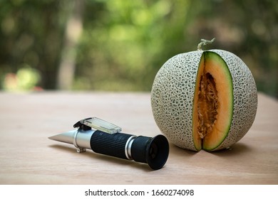 Brix refractometer sweet test tool device for measuring sugar in organic melon, Fresh yellow melons - Powered by Shutterstock