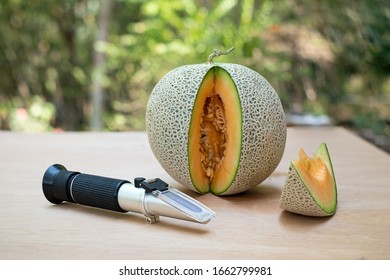 Brix refractometer sweet test tool device for measuring sugar in organic melon, Fresh yellow melons - Powered by Shutterstock