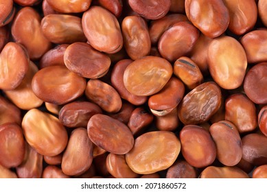 Broad Beans Background. Dry Fava Beans. Top View.