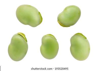 Broad Beans Isolated On White Background