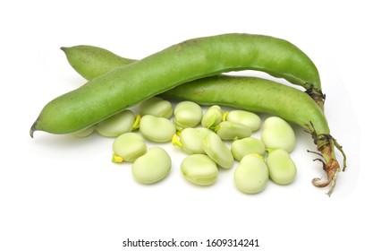 Broad Beans On White Background