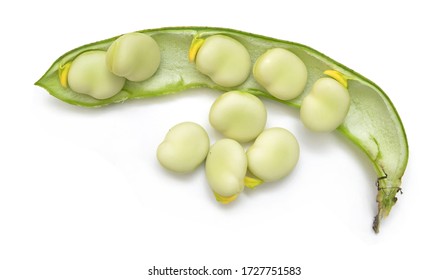 Broad Beans On White Background