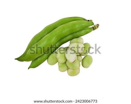 Broad Beans shelled and unshelled peeled isolated on white background