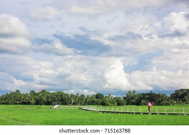 Broad field, field


