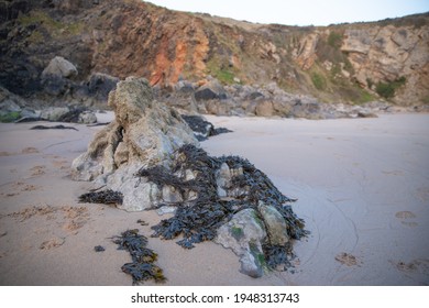 Broad Haven South On The Pembrokeshire Coast In Wales At Sunrise