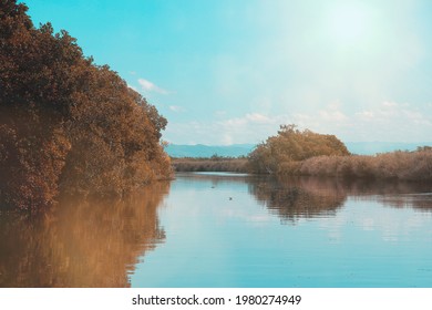 The Broad River In Jamaica