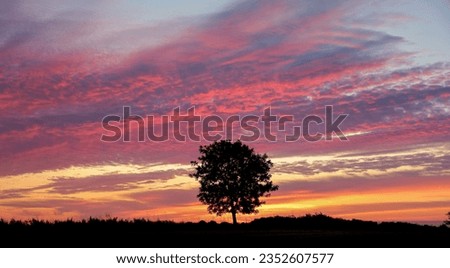Broadway Cotswolds Gloucesterhire United Kingdom
Tree sihouette at sunrise