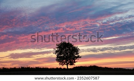 Broadway Cotswolds Gloucesterhire United Kingdom
Tree sihouette at sunrise