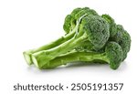 Broccoli - Brassica oleracea - is an edible green plant whose large flowering head, stalk and small associated leaves are eaten as a vegetable. isolated on white background with copy space