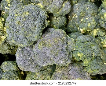 Broccoli Bunch On The Market , Fresh Broccoli