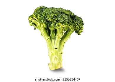 Broccoli is an edible green plant in the cabbage family whose large flowering head, stalk and small associated leaves are eaten as a vegetable, isolated macro shot using studio lighting