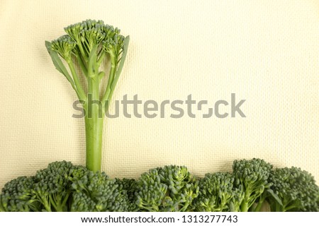 Broccoli Forest Picture