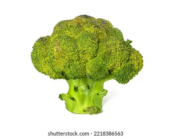 Broccoli Inflorescence (Brassica Oleracea) Is A Green Plant Of The Cabbage Family, Isolated On A White Background