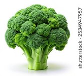 Broccoli isolated on white background