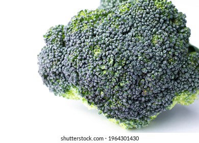 Broccoli Isolated On White Background. Green Broccoli Piece. Broccoli Crown Close Up.