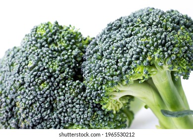 Broccoli Isolated On White Background. Green Broccoli Piece. Broccoli Crown Close Up.