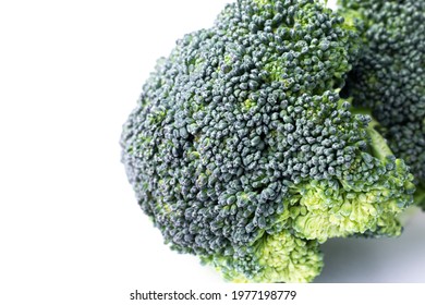 Broccoli Isolated On White Background. Green Broccoli Piece. Broccoli Crown Close Up.