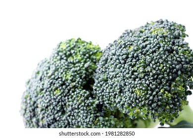 Broccoli Isolated On White Background. Green Broccoli Piece. Broccoli Crown Close Up.