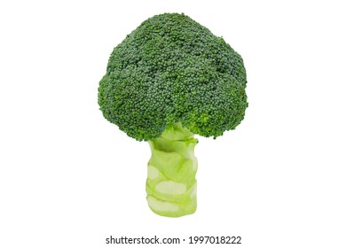 Broccoli Isolated On White Background