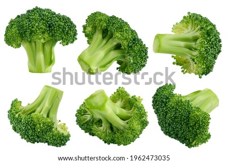 Broccoli isolated on white background, clipping path, full depth of field