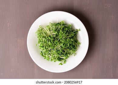 Broccoli Microgreens On A Dark Background.