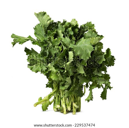 Broccoli ra be Foto stock © 
