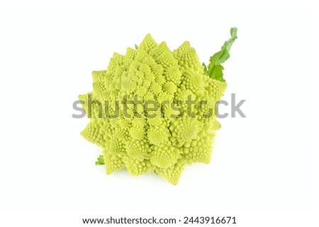 Broccoli romanesco isolated on white background.
