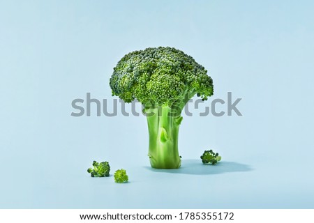 Broccoli sprig on colored background, asparagus cabbage isolated. Perfect Sprig of Fresh Broccoli