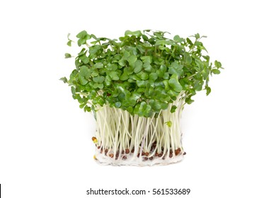 Broccoli sprouts