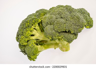 broccoli sprout, Brassica oleracea var. italica - Shutterstock ID 2200029831
