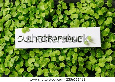 Broccoli sprouts rich a phytochemical sulforaphane with anti- cancer and anti-inflammation action