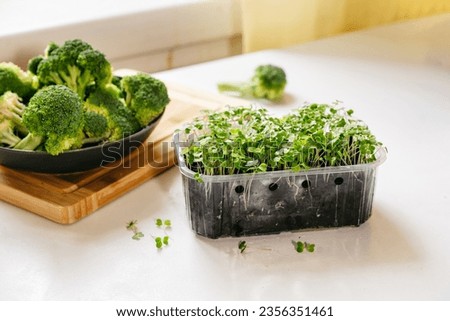 Broccoli sprouts rich in sulforaphane and antioxidants - a phytochemicals with anti cancer and anti inflammation action