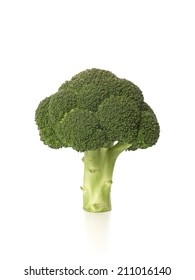 Brocolli Isolated